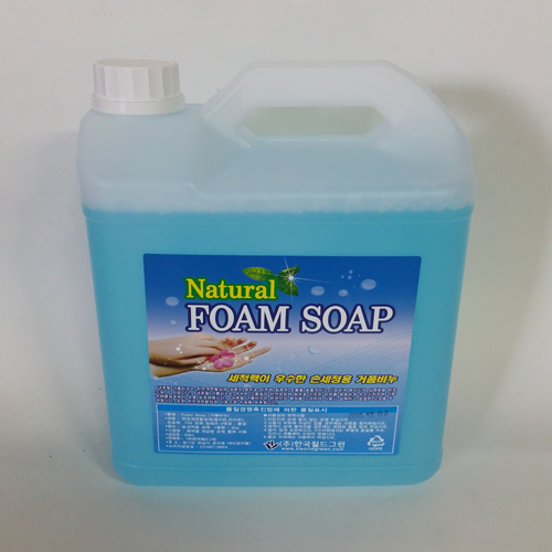 ǰ/ѱ׸/Naturl FOAM SOAP 4